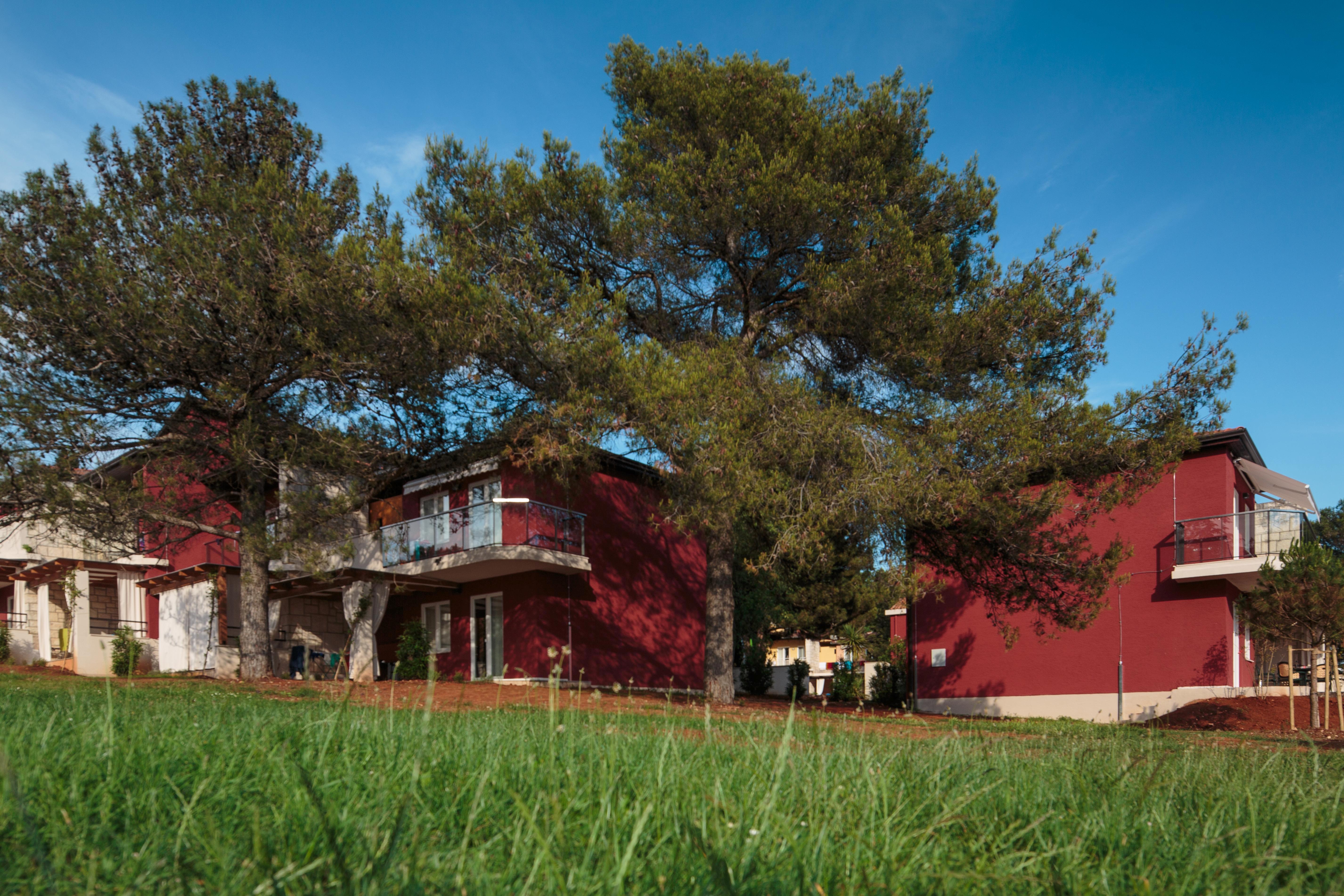Katoro Plava Laguna * Umag